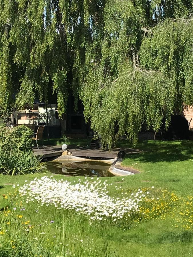 多娜泰勒沃夫洛斯公寓 Gundelfingen an der Donau 外观 照片