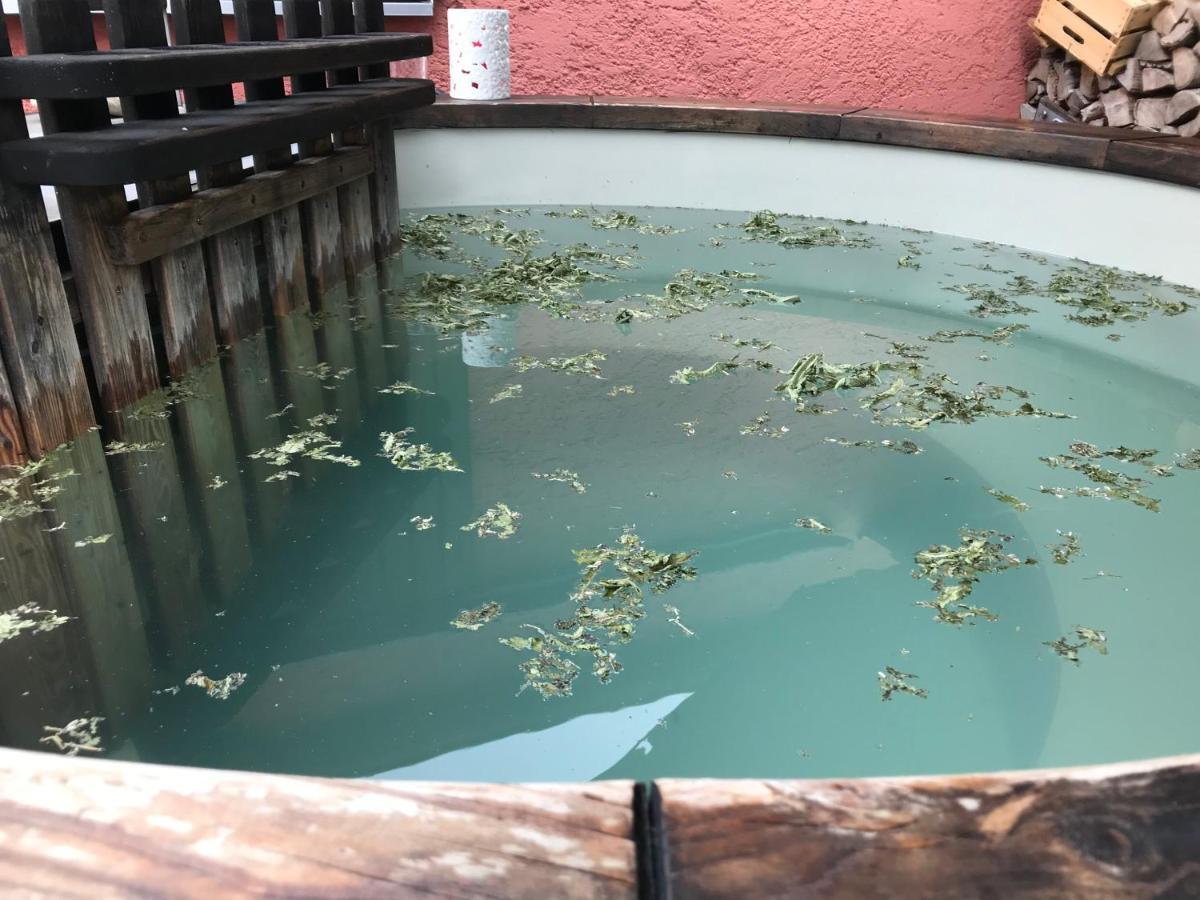多娜泰勒沃夫洛斯公寓 Gundelfingen an der Donau 外观 照片